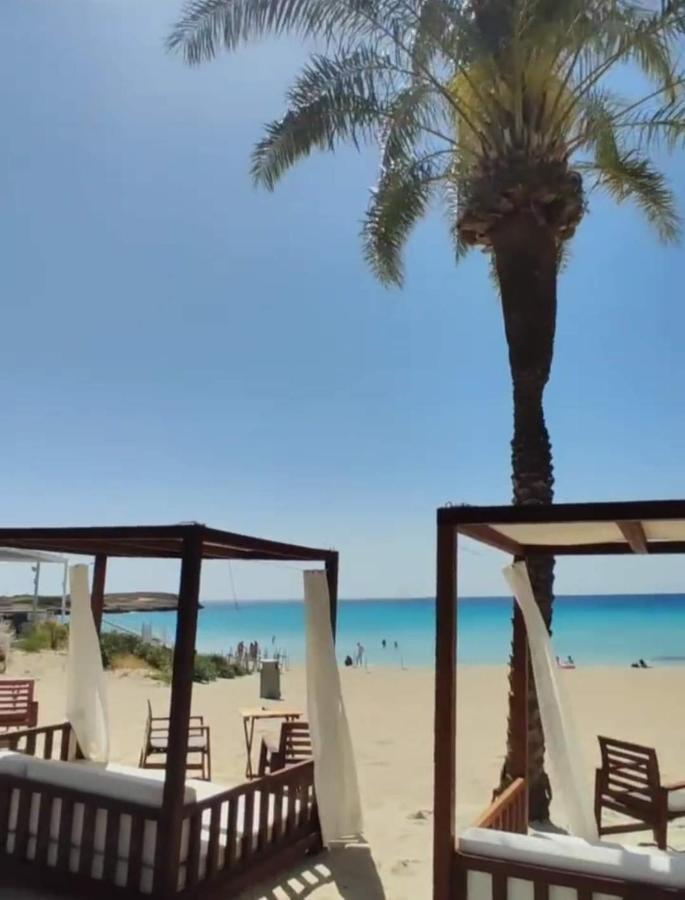 Nissi Golden Sands Sea View 2 Bedroom Apartment Ayia Napa Esterno foto